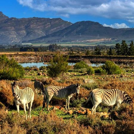 Welbedacht Game & Nature Reserve Tulbagh Ngoại thất bức ảnh