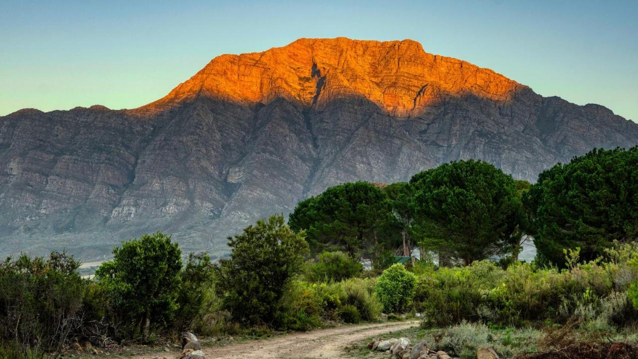 Welbedacht Game & Nature Reserve Tulbagh Ngoại thất bức ảnh