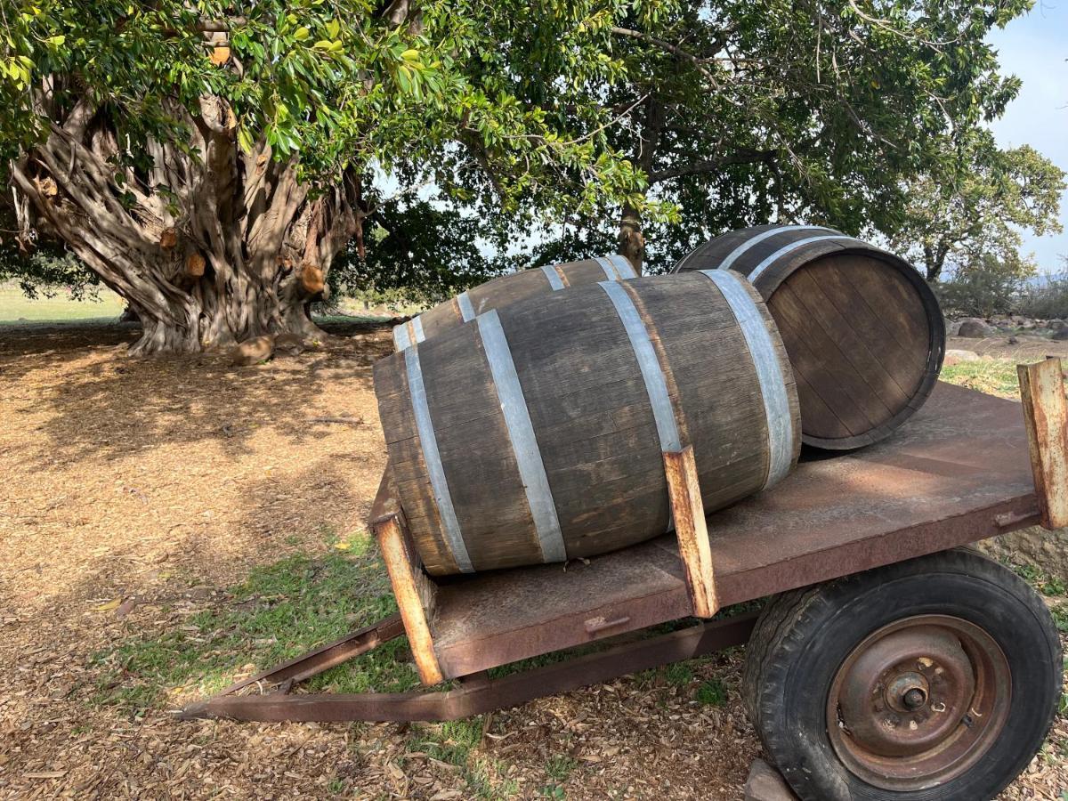 Welbedacht Game & Nature Reserve Tulbagh Ngoại thất bức ảnh