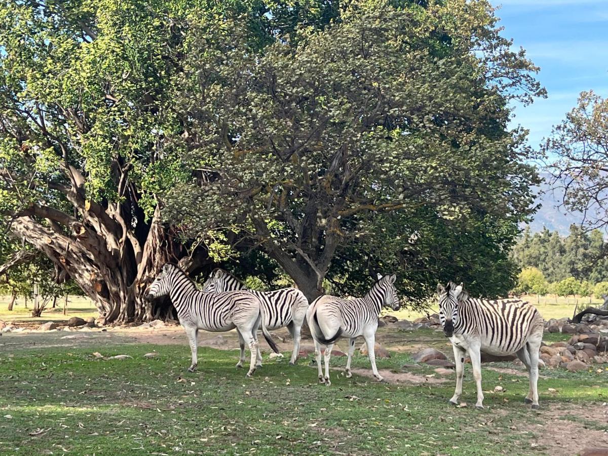 Welbedacht Game & Nature Reserve Tulbagh Ngoại thất bức ảnh