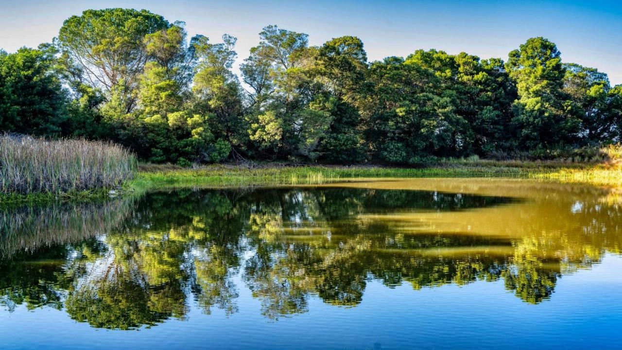 Welbedacht Game & Nature Reserve Tulbagh Ngoại thất bức ảnh