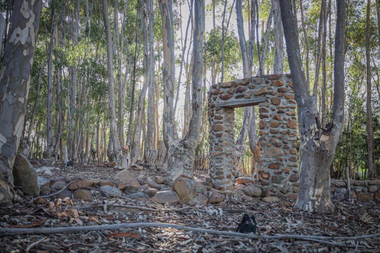 Welbedacht Game & Nature Reserve Tulbagh Ngoại thất bức ảnh