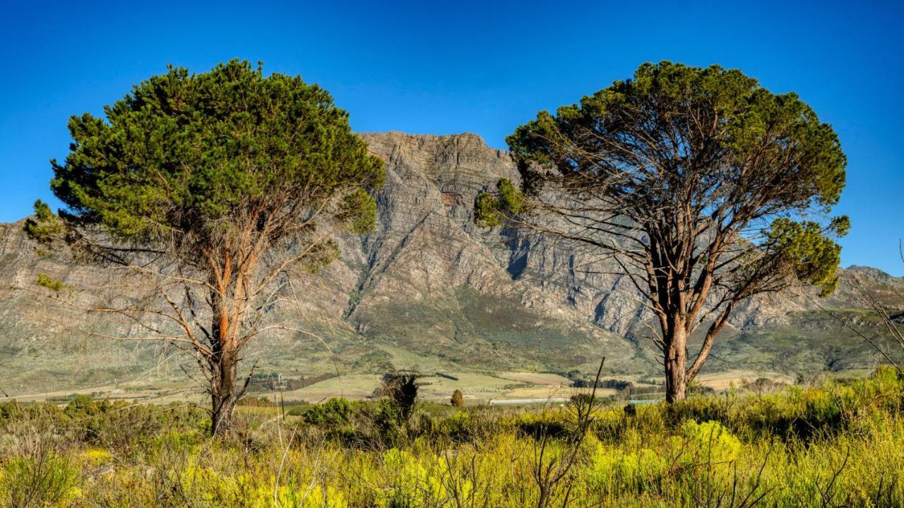 Welbedacht Game & Nature Reserve Tulbagh Ngoại thất bức ảnh