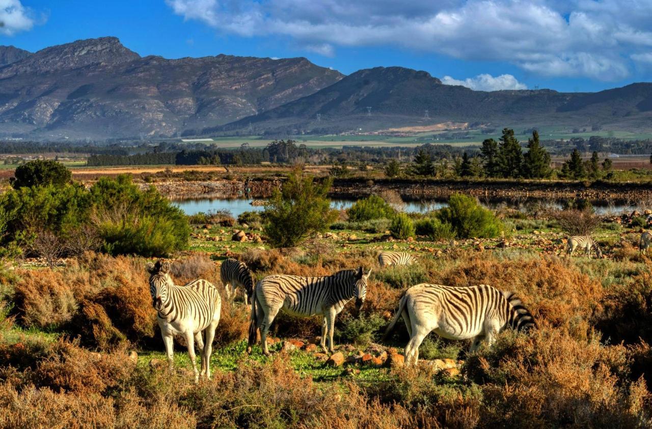 Welbedacht Game & Nature Reserve Tulbagh Ngoại thất bức ảnh